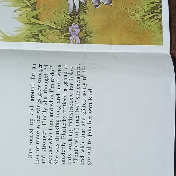 Vintage Flutterby and Buttermilk Paperback Books - Picture 9 of 15